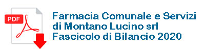 fascicolo bilancio 2020