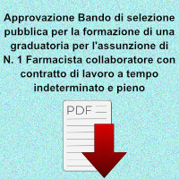 approvazione bando assunzione